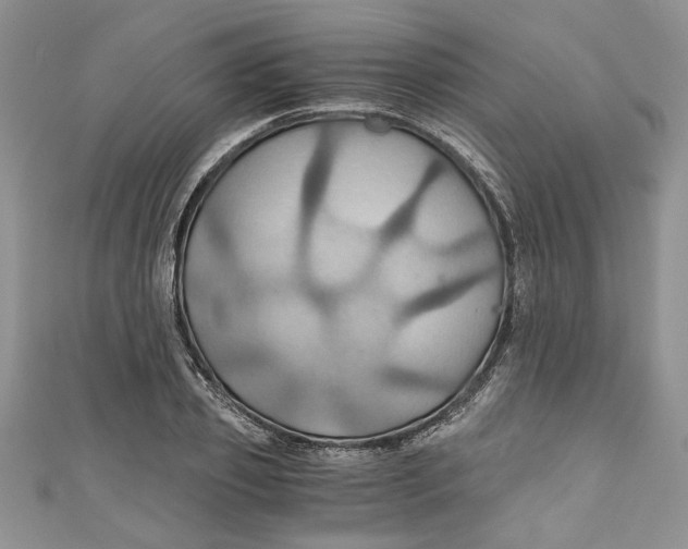 X0000111030933200907161322