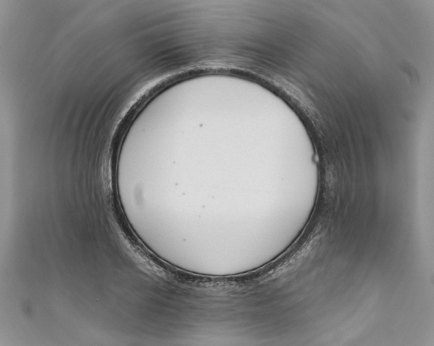 X0000111030934200907161322