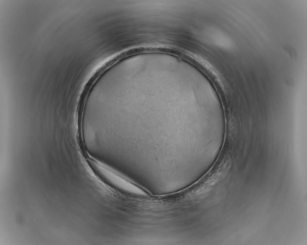 X0000111030935200907161322