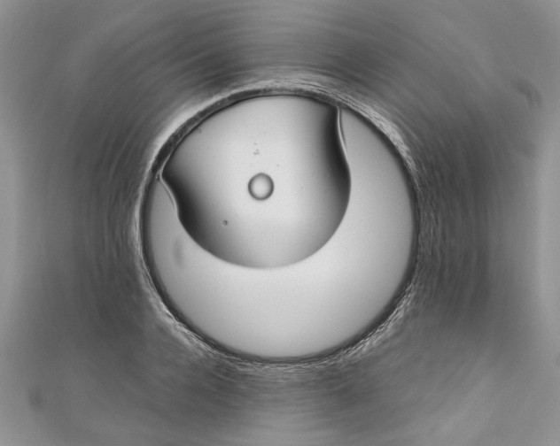 X0000111030936200907161322
