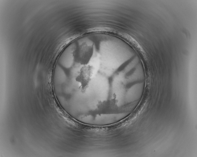 X0000111030937200907161322