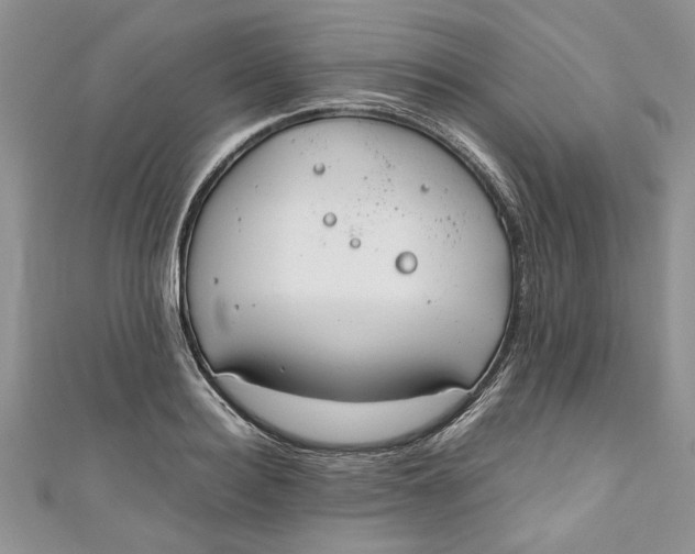 X0000111030940200907161322