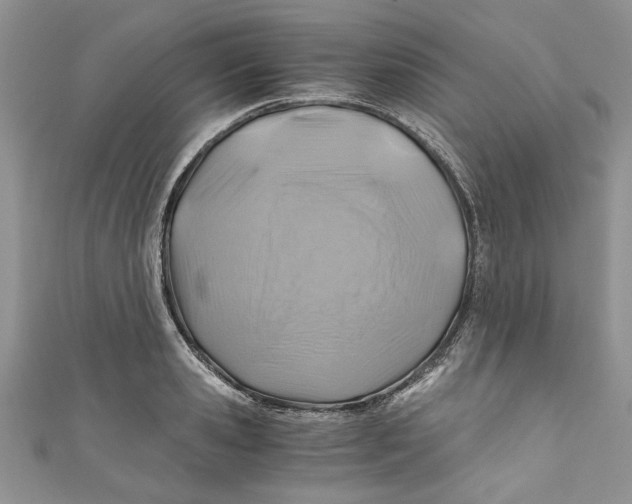 X0000111030941200907161322