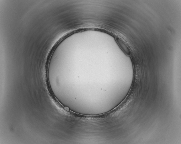 X0000111030942200907161322