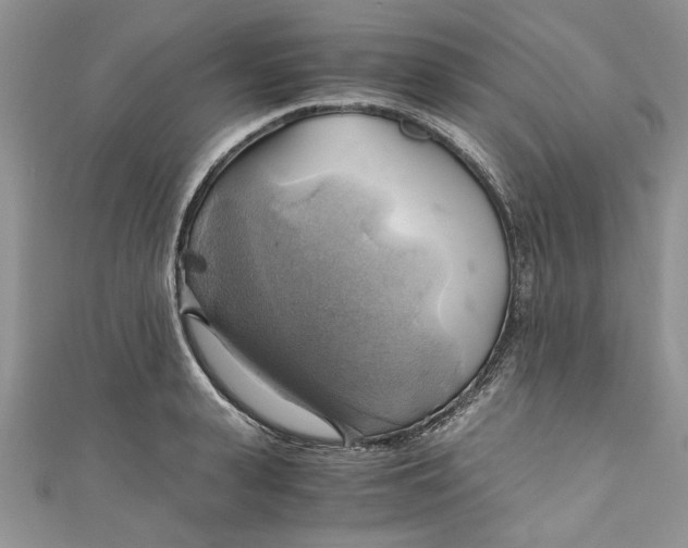 X0000111030943200907161322