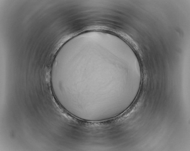 X0000111030945200907161322