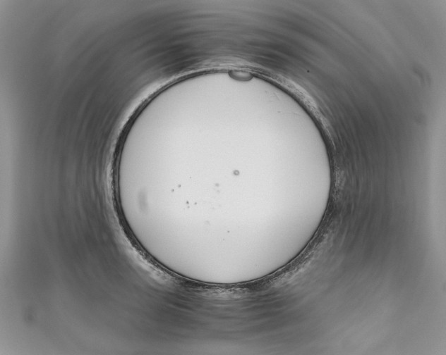 X0000111030947200907161322