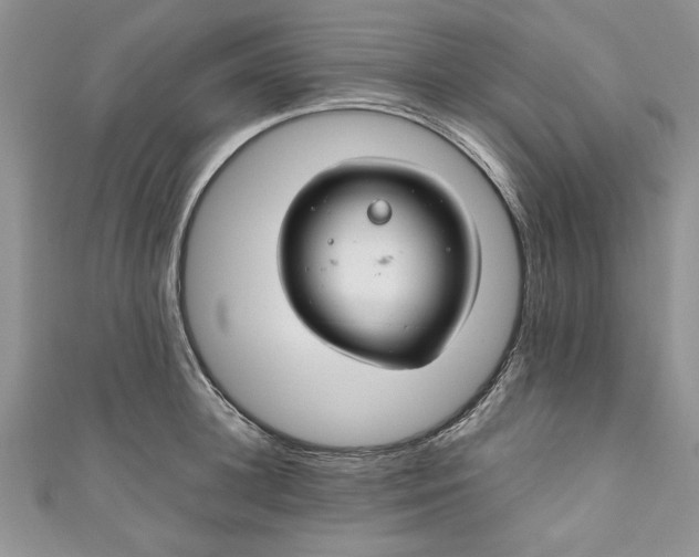 X0000111030948200907161322