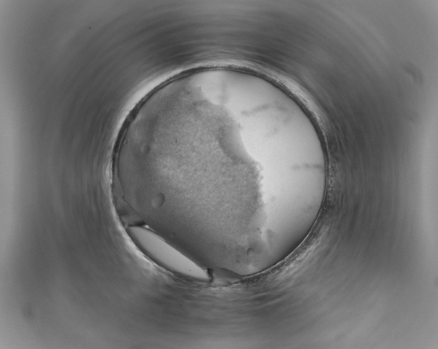 X0000111030951200907161322