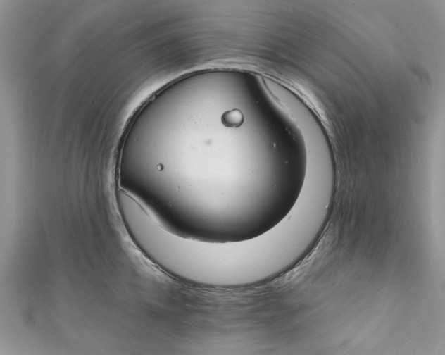 X0000111030952200907161322