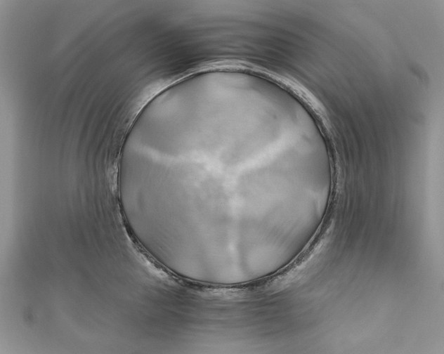 X0000111030953200907161322