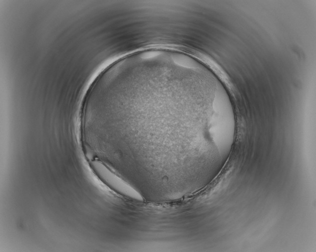 X0000111030955200907161322