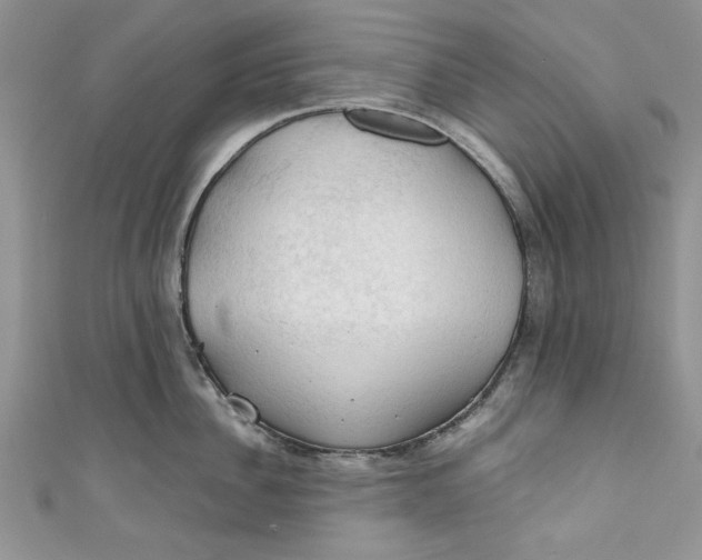 X0000111030956200907161322