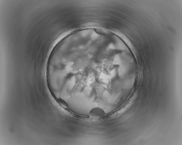 X0000111030957200907161322