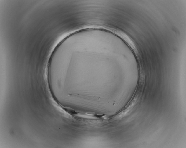X0000111030958200907161322