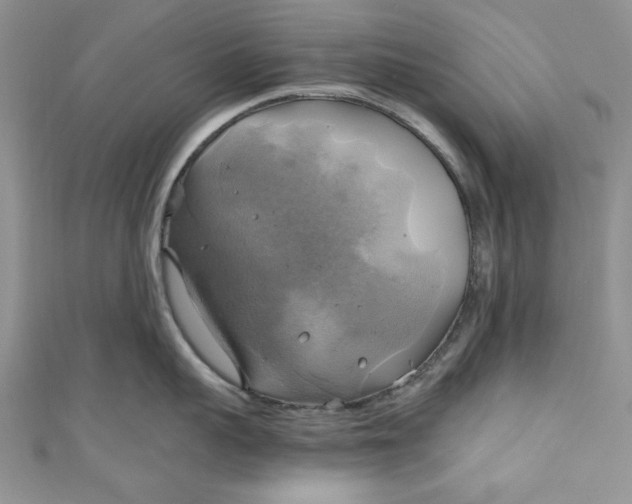 X0000111030959200907161322