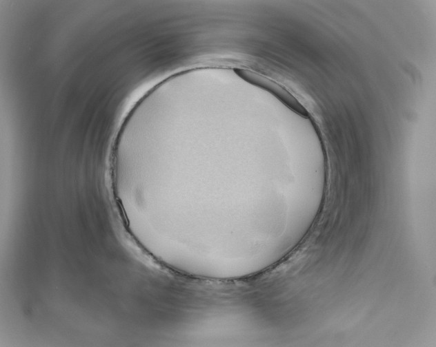 X0000111030960200907161322