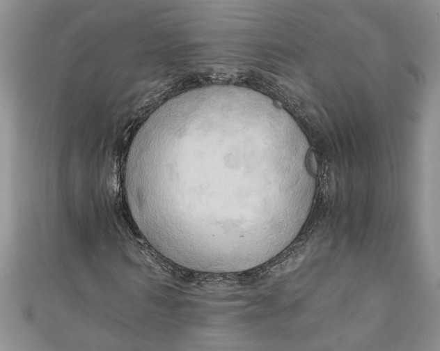 X0000111030962200907161321
