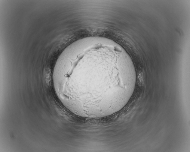 X0000111030963200907161321