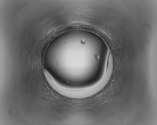X0000111030965200907161321