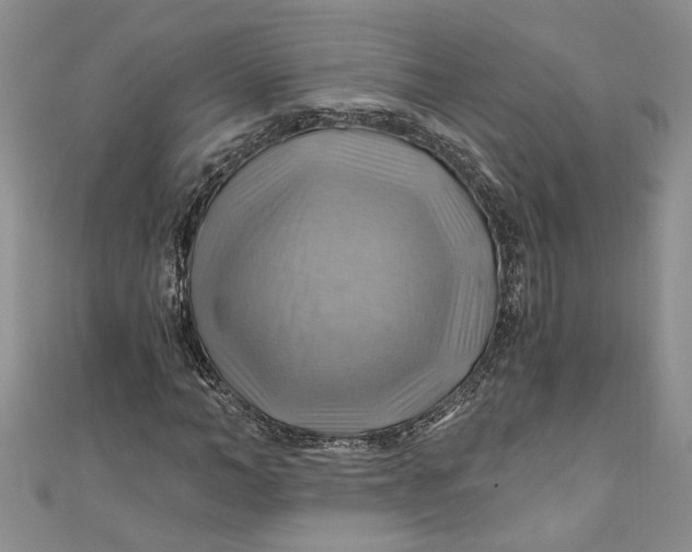 X0000111030966200907161321