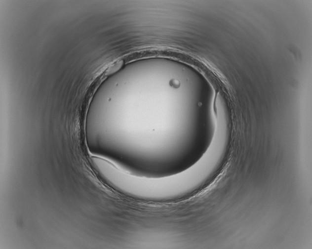 X0000111030969200907161321