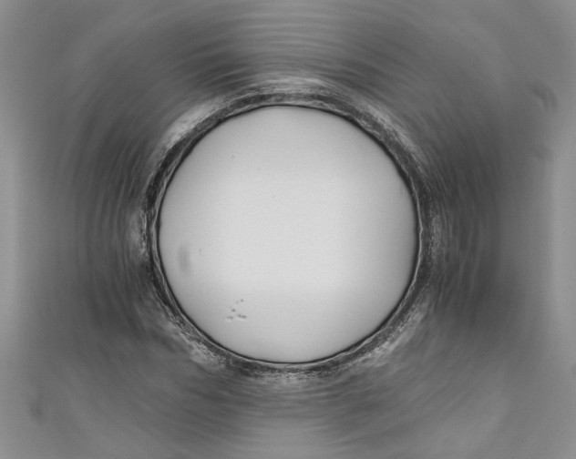 X0000111030970200907161321