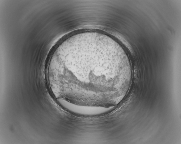 X0000111030972200907161321