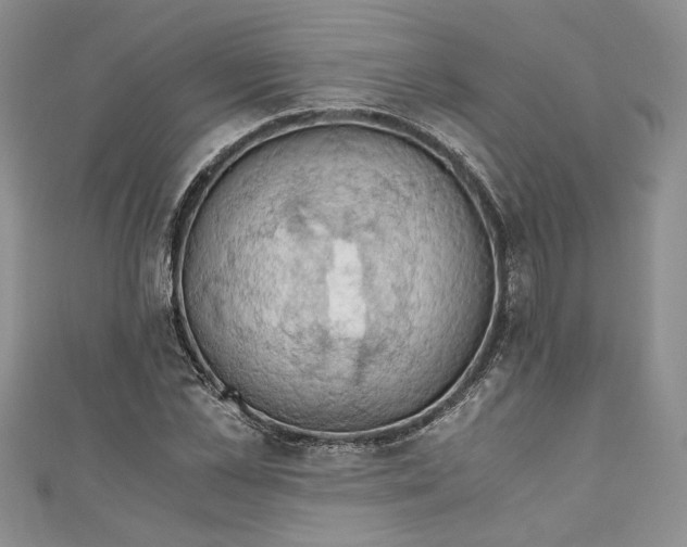 X0000111030973200907161321