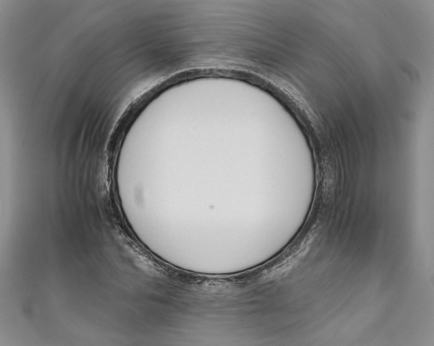 X0000111030974200907161321