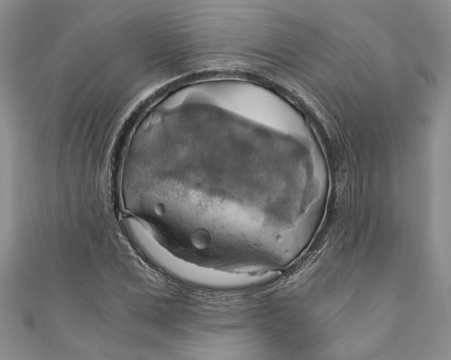 X0000111030975200907161321