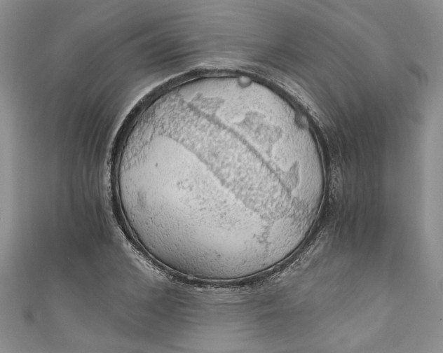 X0000111030976200907161321