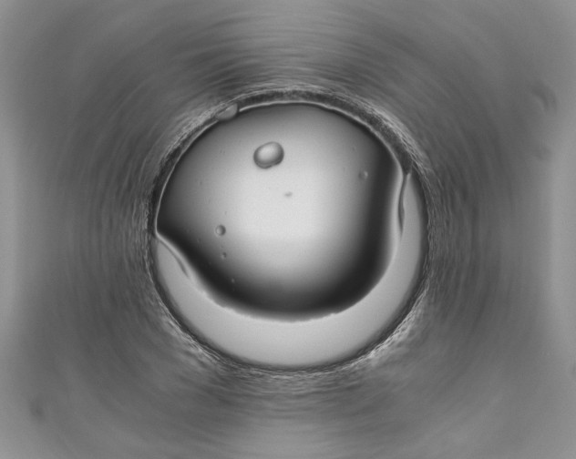 X0000111030977200907161321