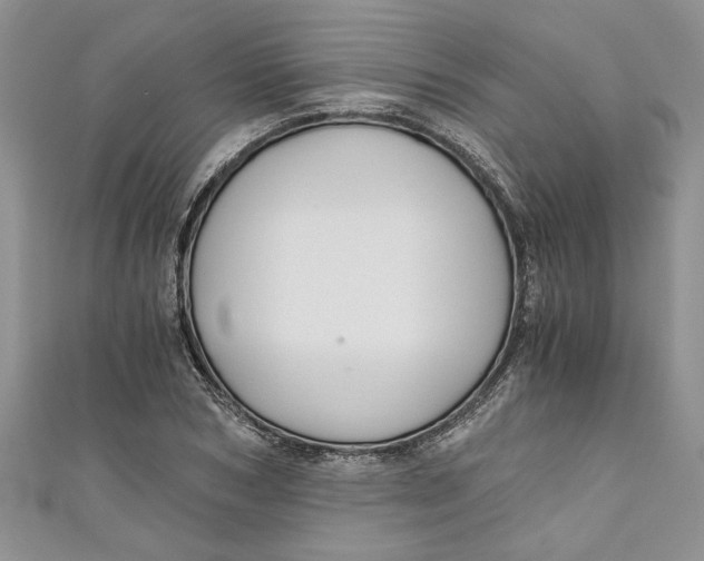 X0000111030978200907161321