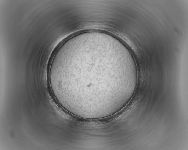 X0000111030980200907161321