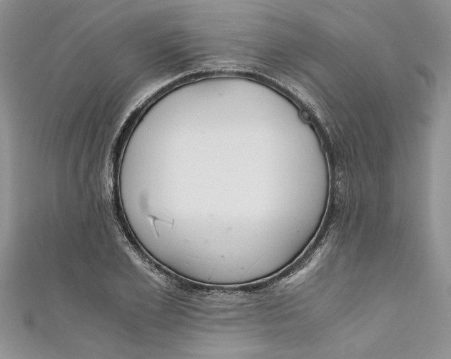 X0000111030981200907161321