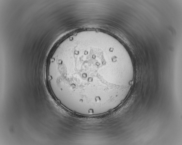 X0000111030984200907161321