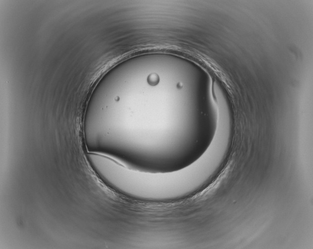 X0000111030985200907161321