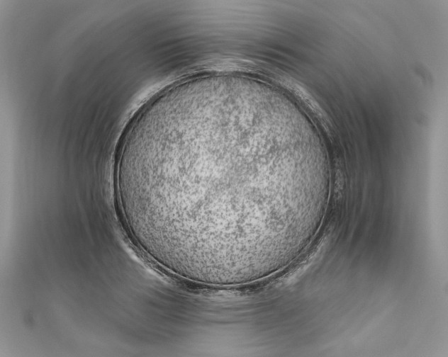 X0000111030986200907161321