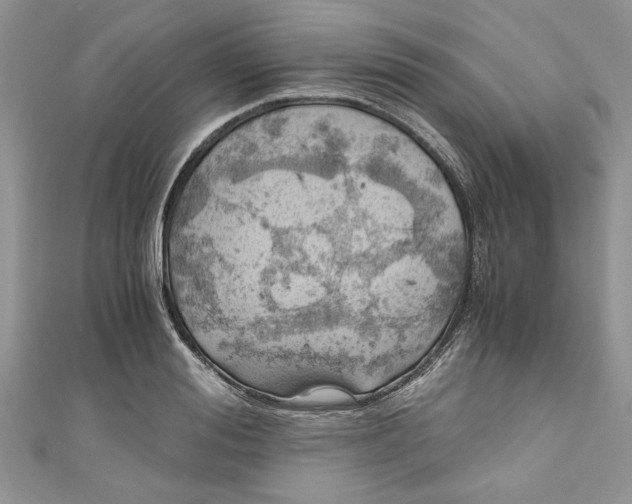 X0000111030988200907161321