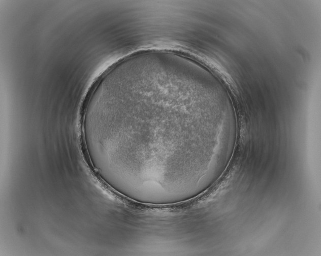 X0000111030990200907161321