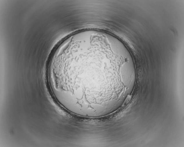 X0000111030991200907161321