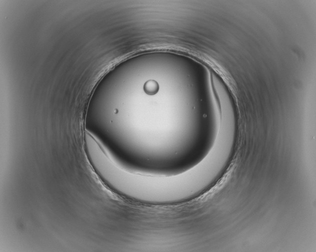 X0000111030993200907161321