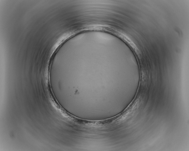 X0000111030994200907161321