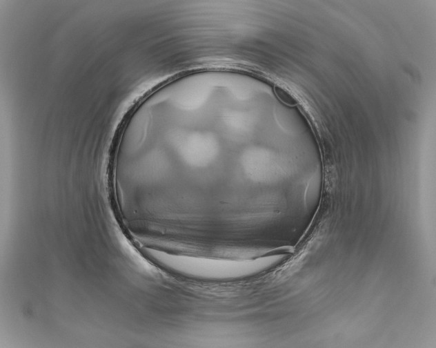 X0000111030995200907161321