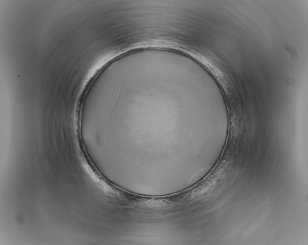 X0000111030998200907161321