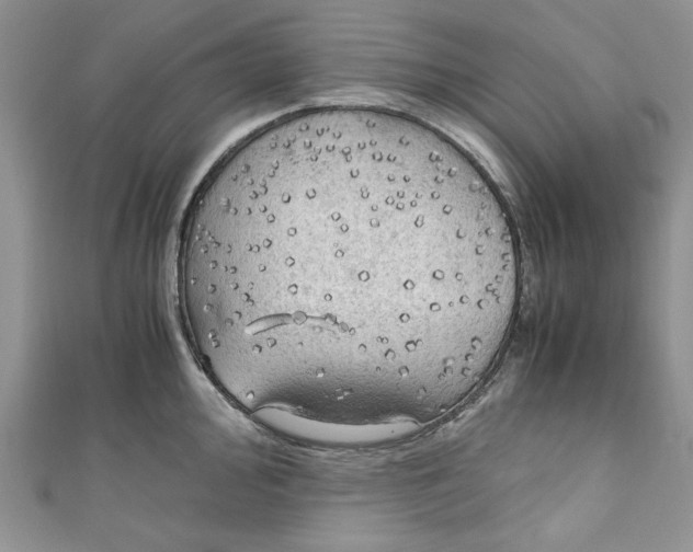 X0000111031000200907161321