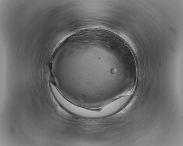 X0000111031001200907161321