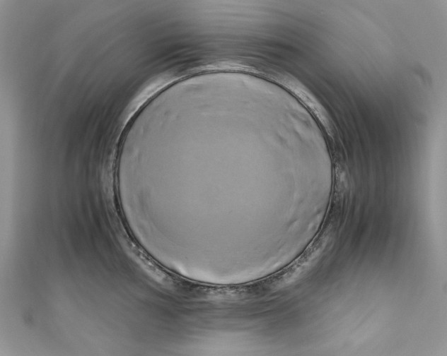 X0000111031002200907161321
