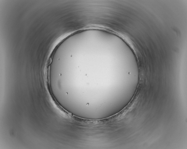 X0000111031003200907161321
